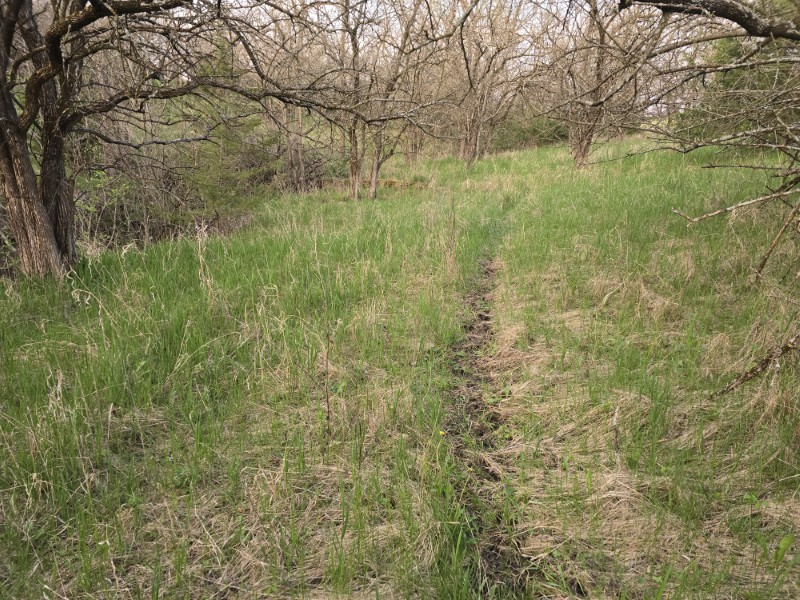 Listing photo 47